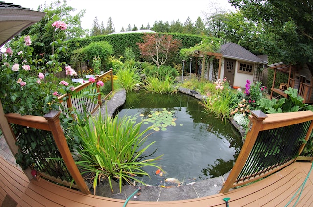 Garden pond install swansea