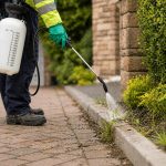 weed spraying swansea