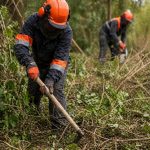 ground clearance and maintenance swansea