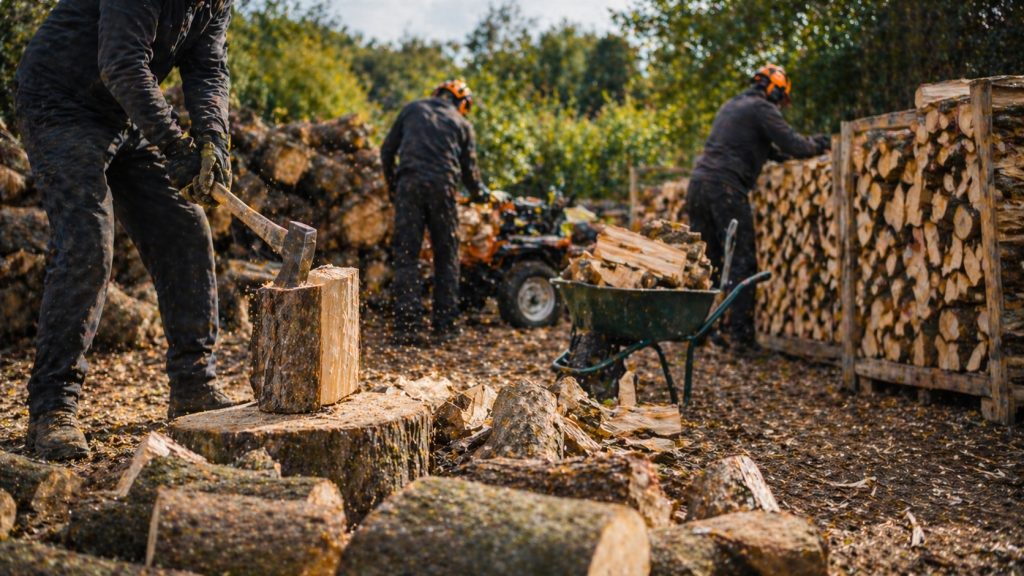 Seasoned Logs For Sale in Dunvant and Swansea | Local Firewood Delivery